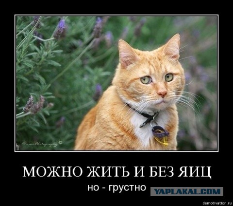 А ты живи с этим