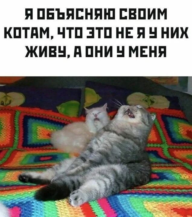 Вторника картинки