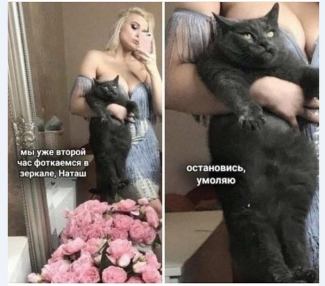 Воскресные картинки