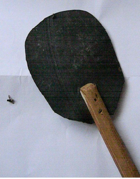 Радикальные меры борьбы с шершнями.