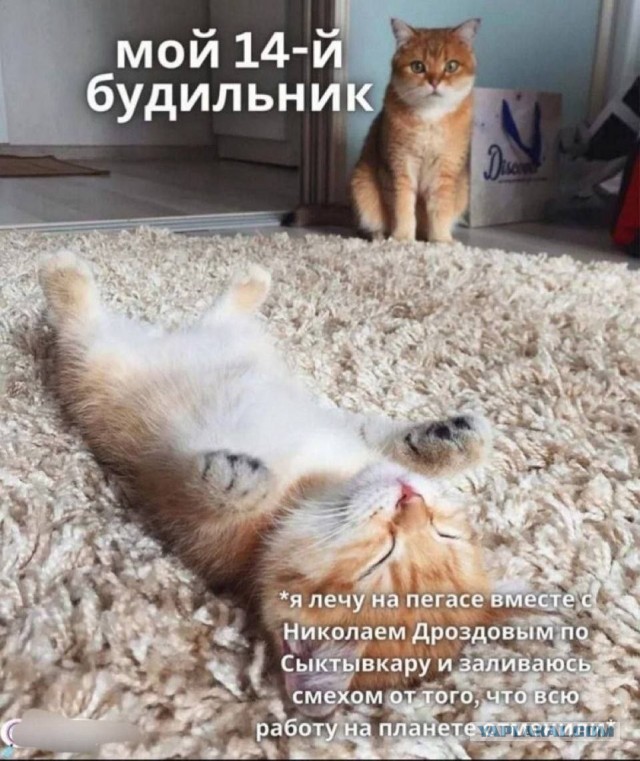 Видимо, что-то неприятное приснилось