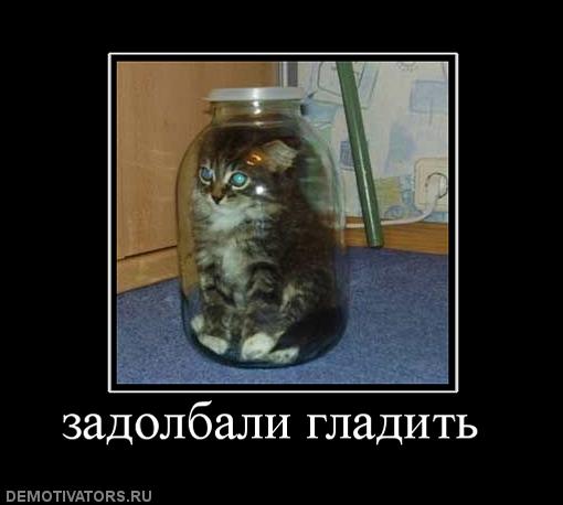 Личный сборник демотиваторов [~25]