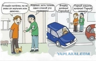 Новый член семьи