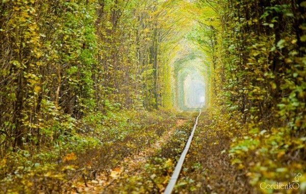 9 самых необычных железнодорожных путей