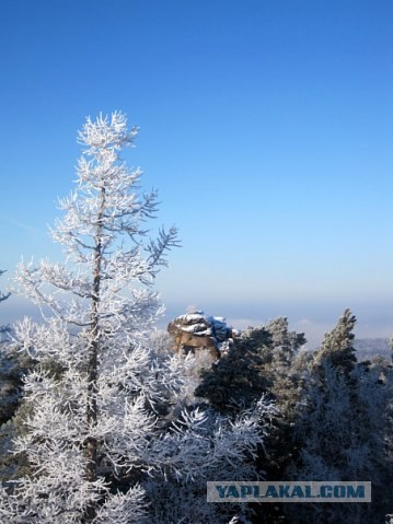 Отгородившись от мира