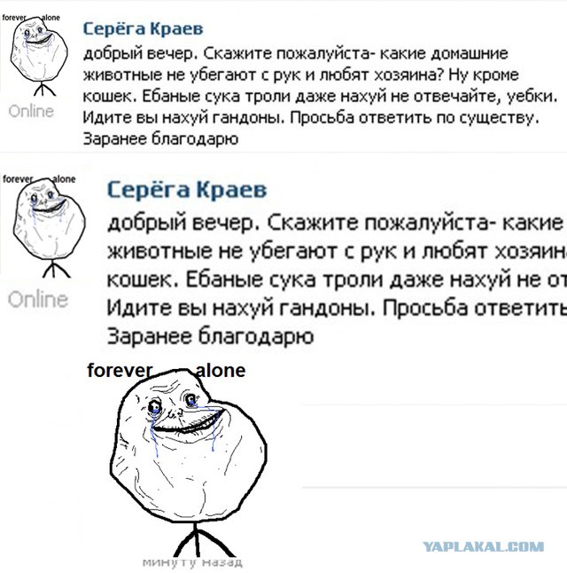 Идеальный питомец