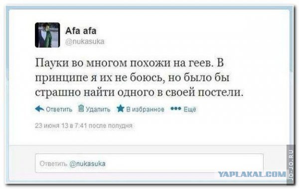 Смешные комментарии из социальных сетей