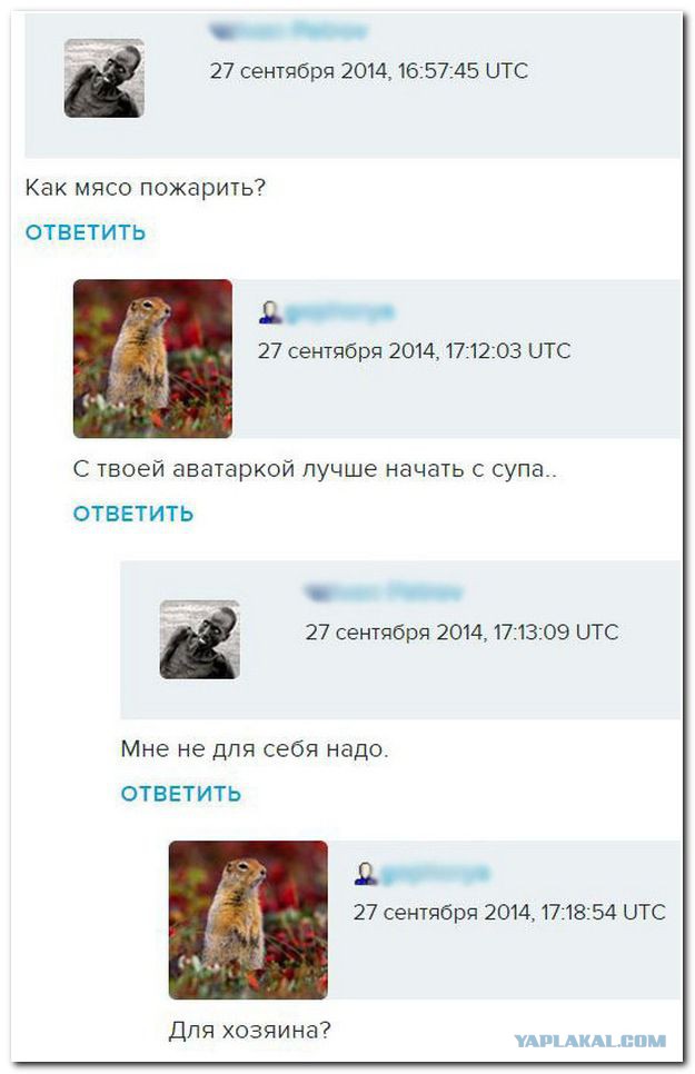 Подборка баянов.