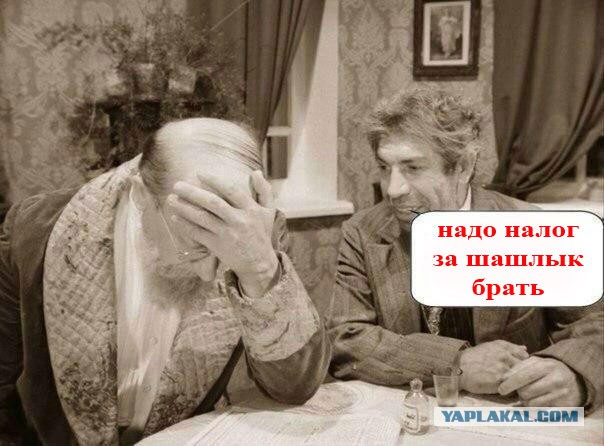 В России предложили ввести «налог на шашлык»