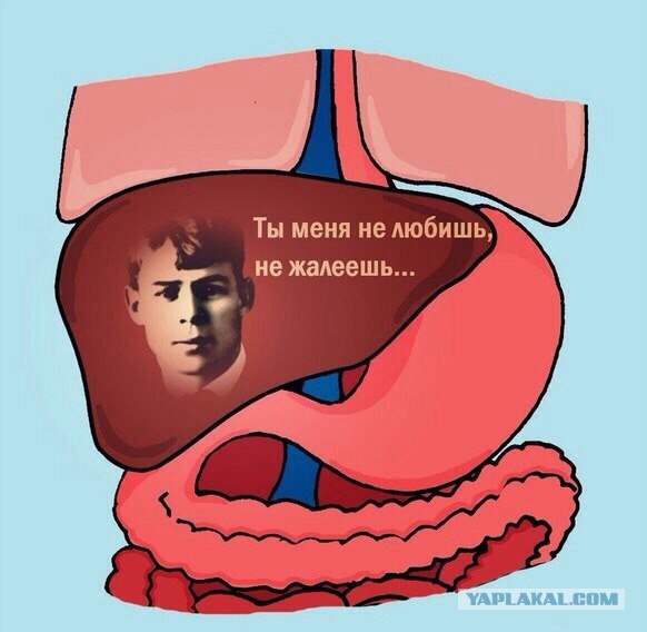 Картинки под пивко