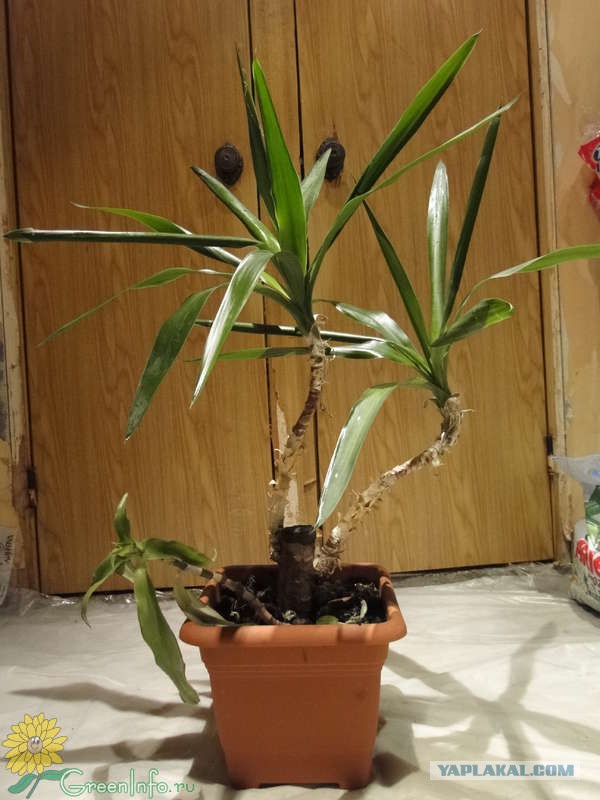 В ВЭБе обнаружилась дыра 1,5 трлн.руб