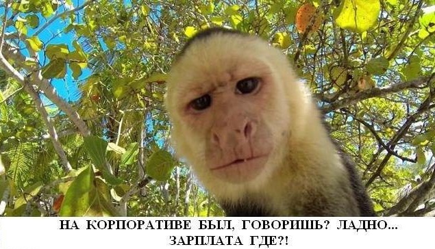 Весёлые картинки