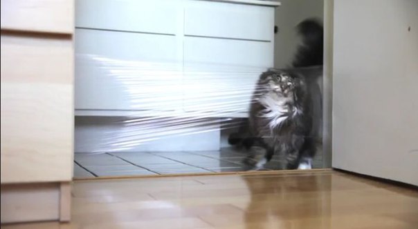 Веселые картинки