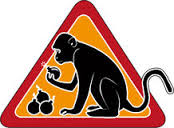 Таня, ну че ты мне не сказала?