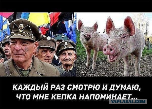 Хорошие новости из Крыма