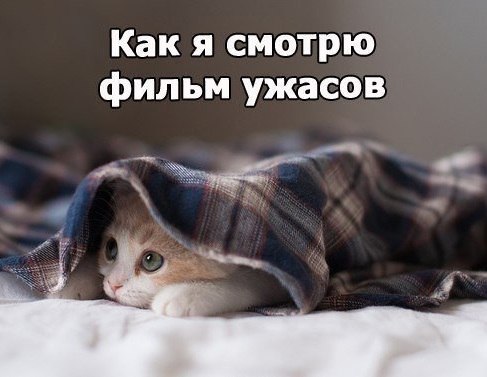 Прикольные животные