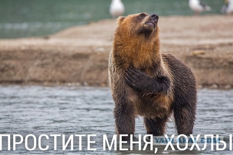 О голландских "гарантиях против украинцев": не давать денег, жизни и работы