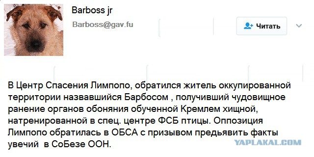 Хроники Лимпопо