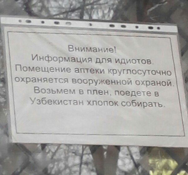Перлы