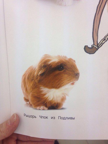 150 картинки для поднятия настроения!