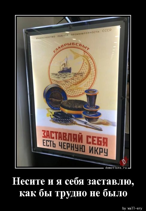 Когда продукты были большими