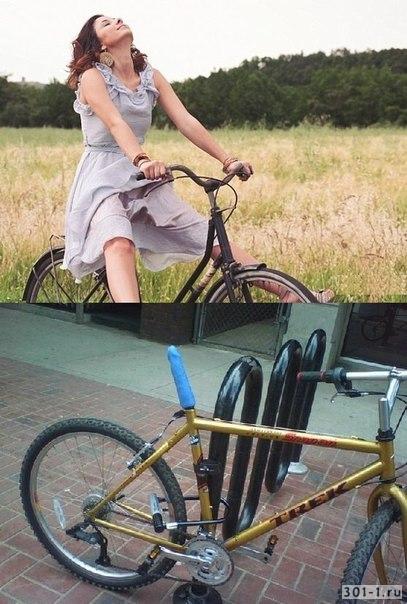 Велосипед с членом