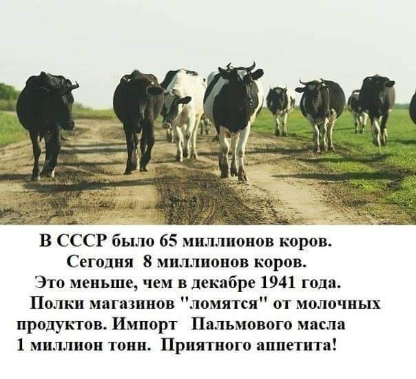 Россиян предупредили о росте цен на молочные продукты