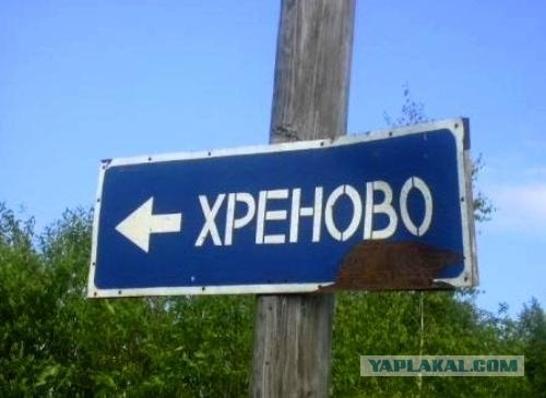 Первые плоды нового закона