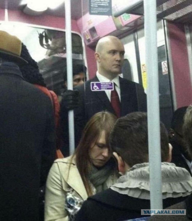 35 весёлых и увлекательных фотографий, чтобы побороть трудное время улыбкой