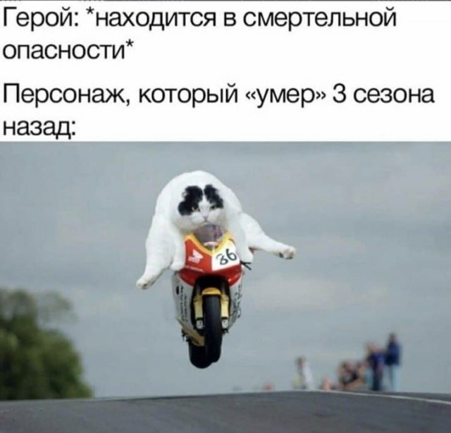 Картинки и мемы для настроения 23.02.21