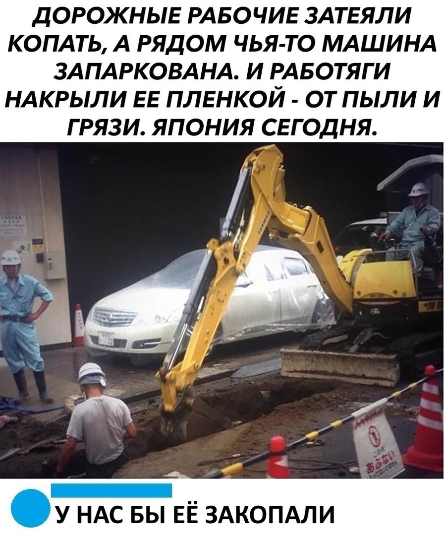 15328332.jpg