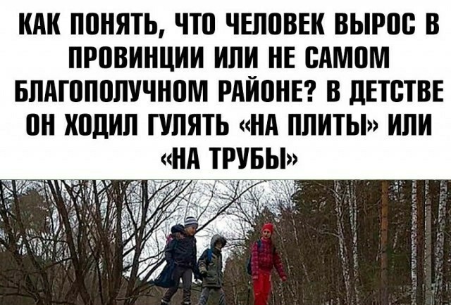 Весёлый полтишок 5.04