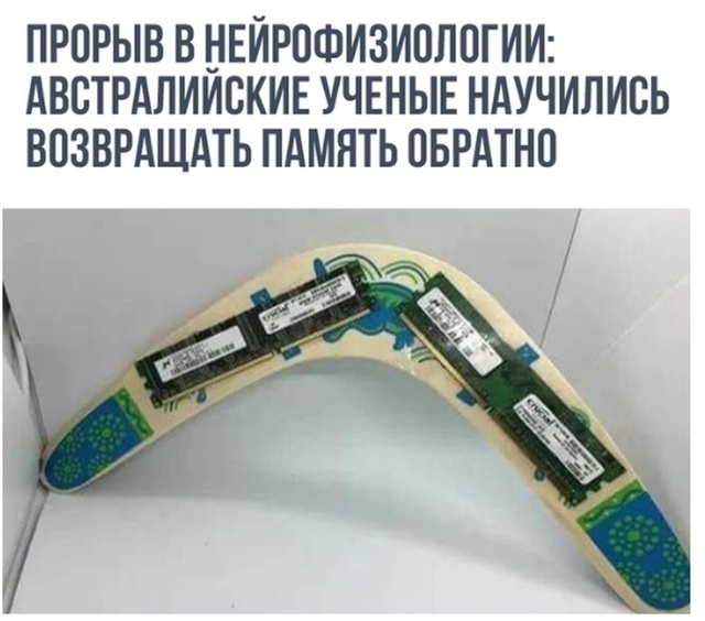 Картинки и мемы для настроения 29.06.2021
