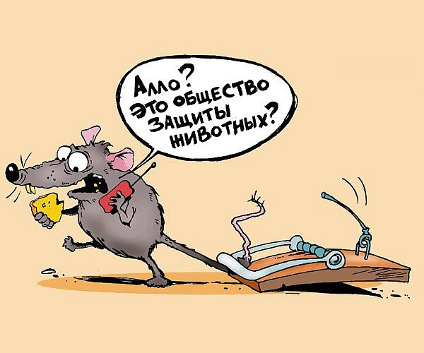 Поймать мыша не удалось