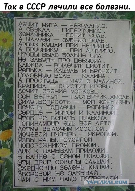 Пандемия съехавших крыш - разновидности болезни. Россия и мир. Часть 37