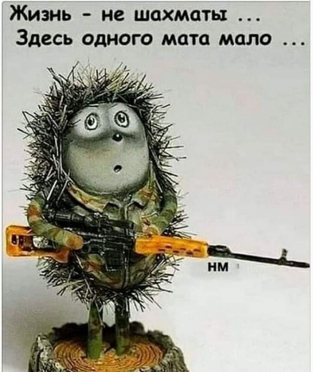Картинки и мемы для настроения - 19