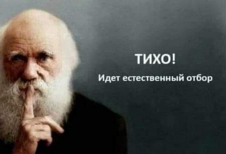 На дорогу смотри!