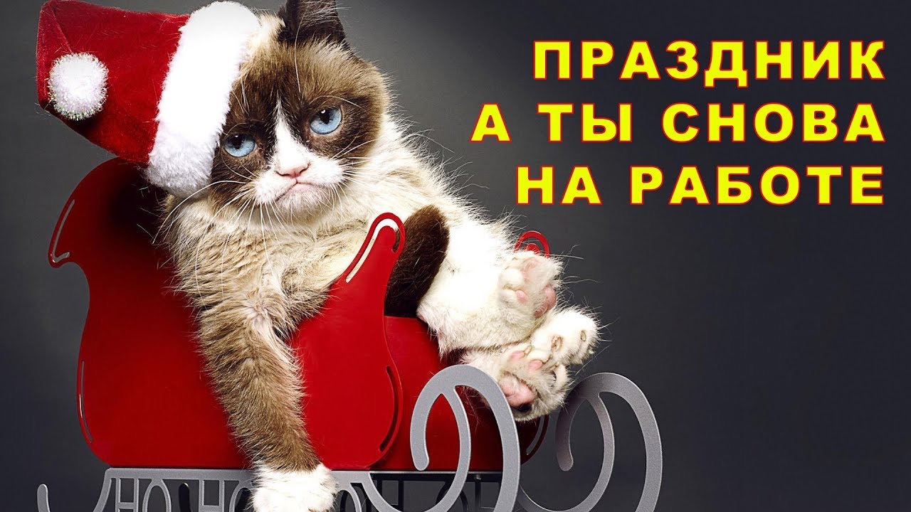 Грустный кот в новогодней шапке