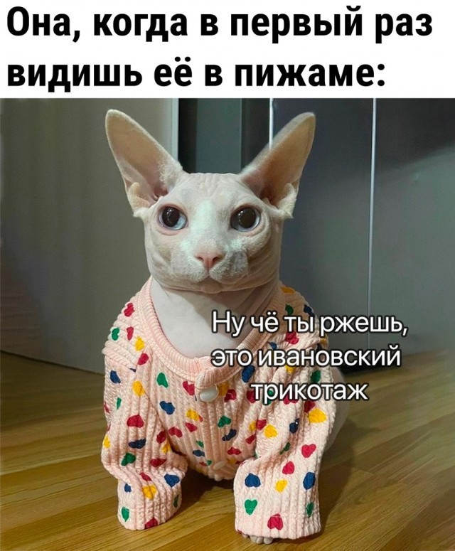 "Жена нарядила кошку"