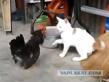 Сразу предупредил