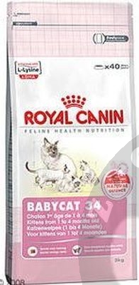 Новорожденные хорята (видео)