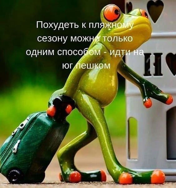 Когда решил, что пора начинать худеть к лету