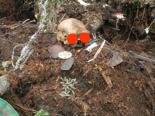 История одного норвежца