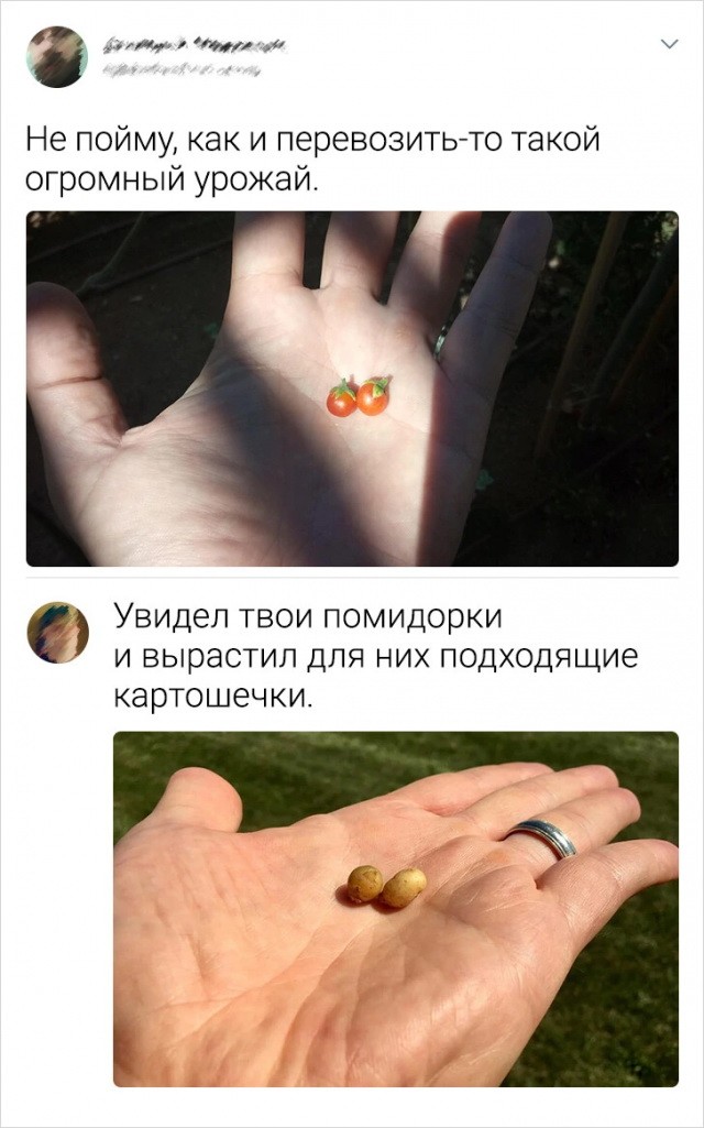 Веселые картинки (02.07)