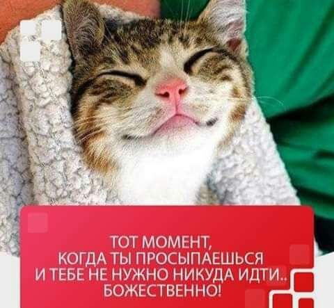 Весёлый полтишок 13.08.24