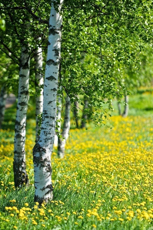 Прикольные и просто красивые картинки 13.05.2025