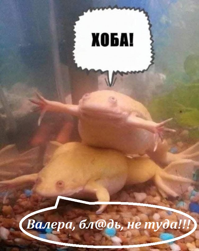 Маленькая пятница 1.10