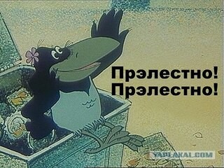 Необходимо разобраться - кто прав