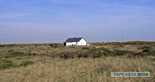 Домик в "заповеднике" (9 фото)