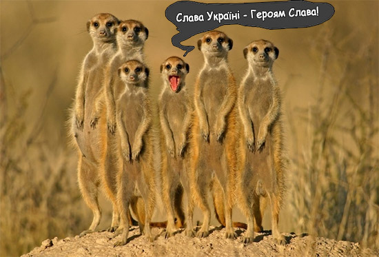 США и ЕС циничные лицемеры ,
